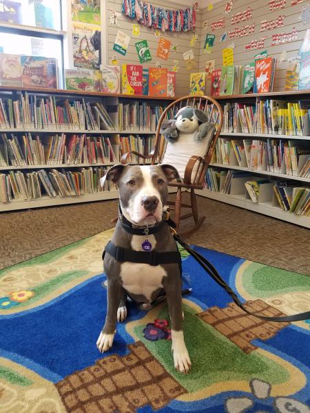 Image for event: Read to a Dog