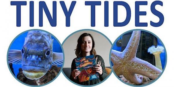 Image for event: Tiny Tides